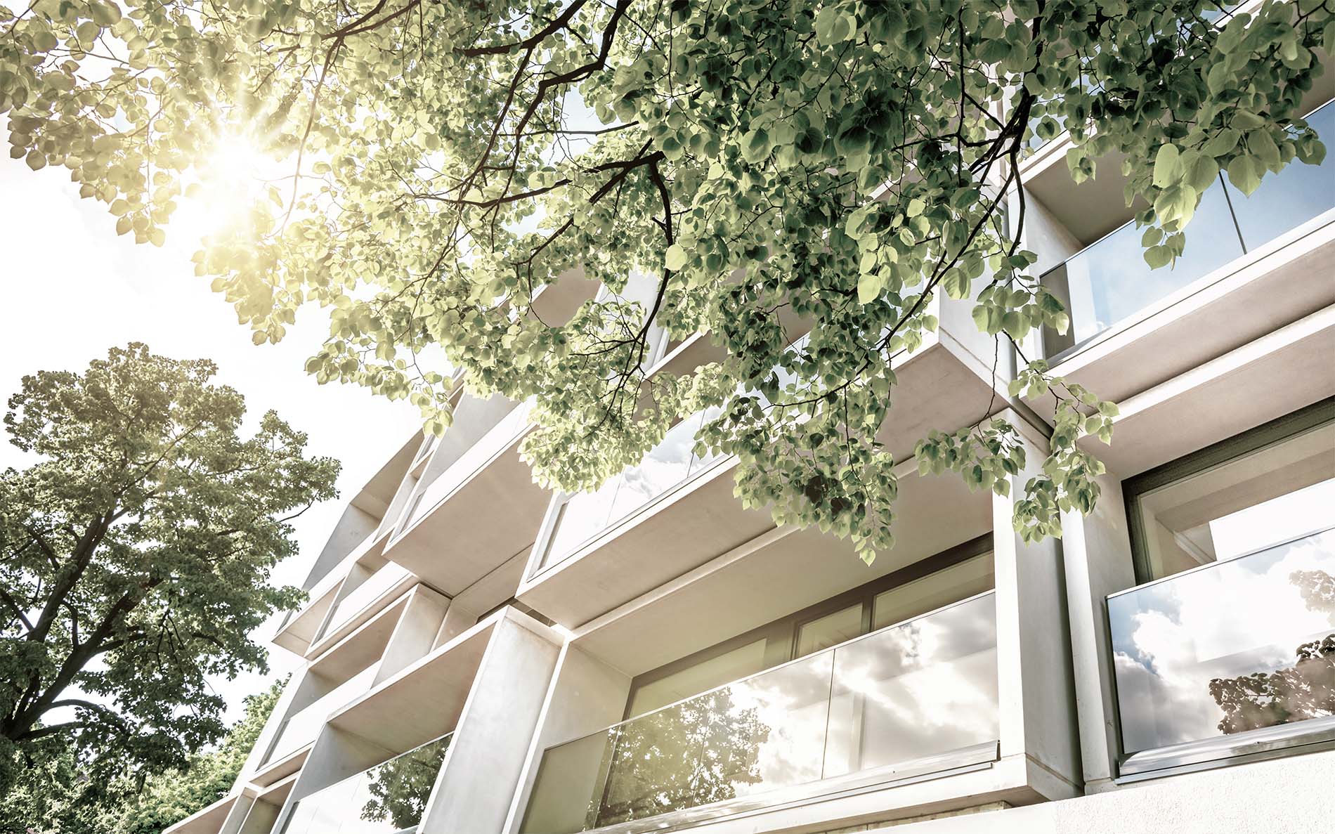 Projektentwicklung - Wohnungsbau L&uuml;tzelsachsen GmbH